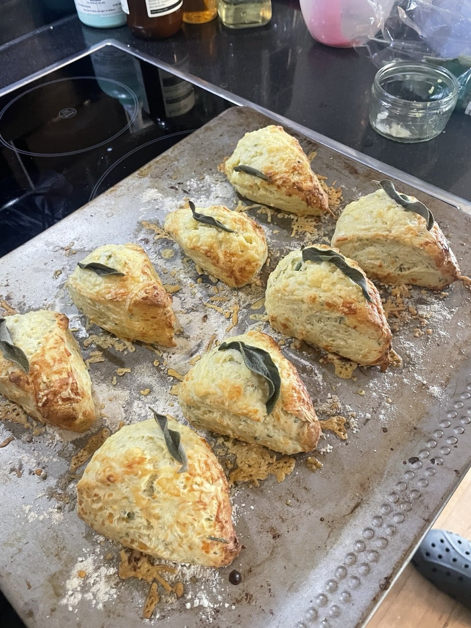 Eight freshly baked triangular cheese and sage scones arranged on a well-used metal baking tray, each topped with a whole crisp sage leaf and showing a golden, flaky crust with melted cheese on the surface.